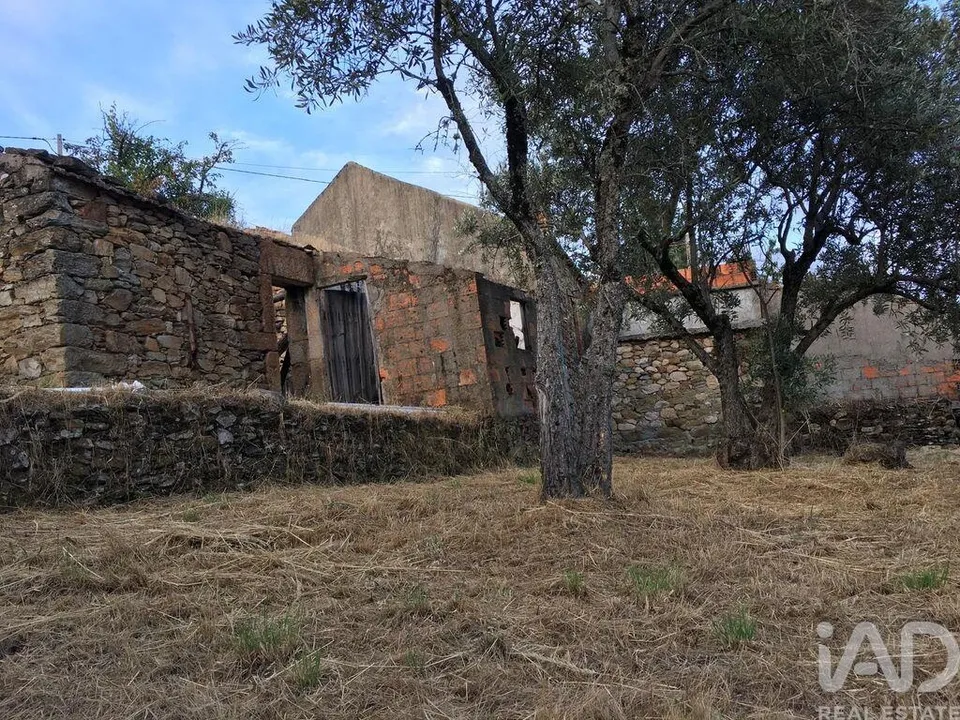 Fattoria Covilha, Castelo Branco - foto 4