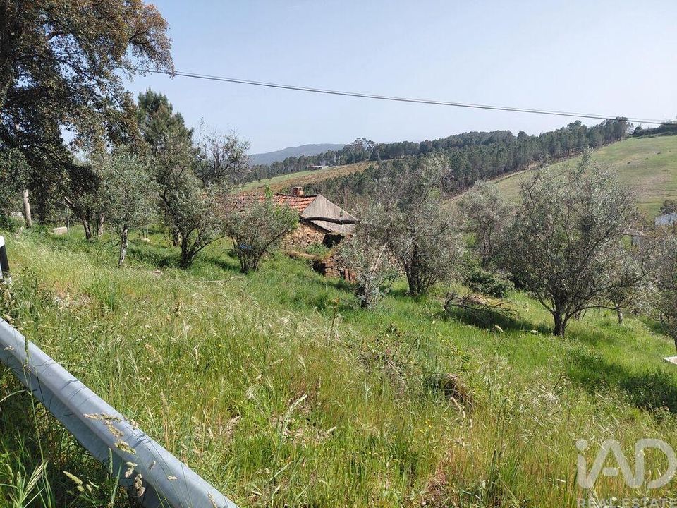 Fattoria Covilha, Castelo Branco - foto 5