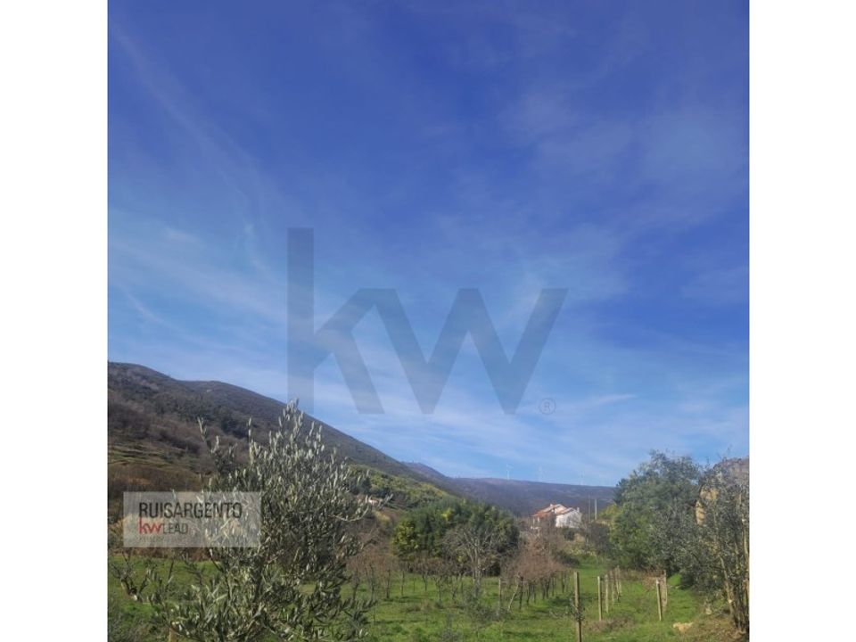 Villa i Guarda, Guarda - foto 3