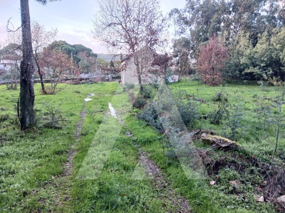 Helårsgrund i Mangualde, Viseu - foto 1