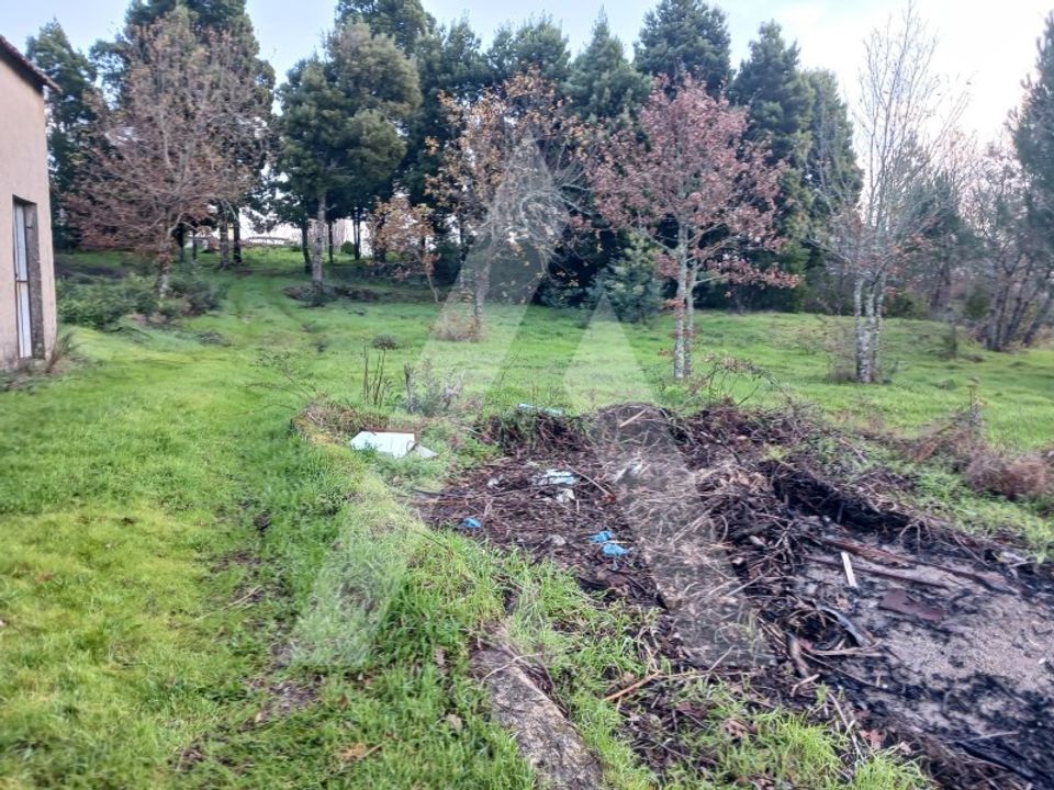 Helårsgrund i Mangualde, Viseu - foto 2