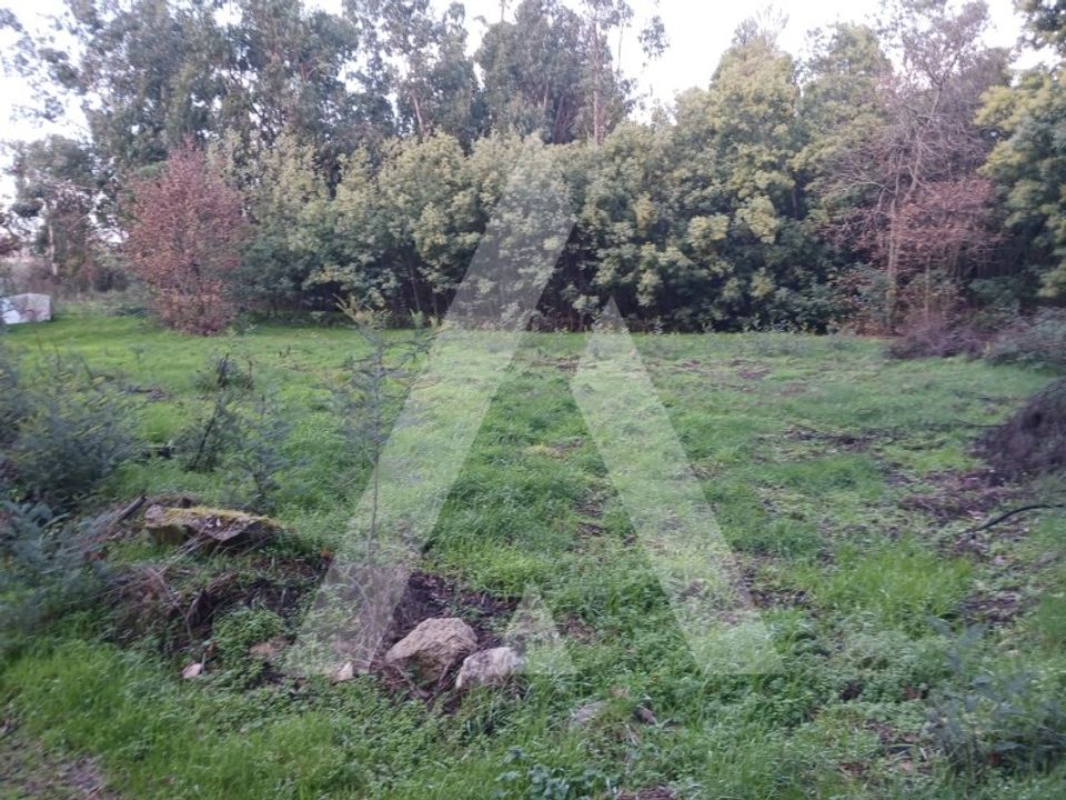 Helårsgrund i Mangualde, Viseu - foto 4