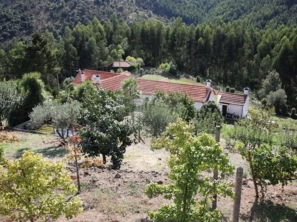 Farm i Baiao, Porto - foto 4