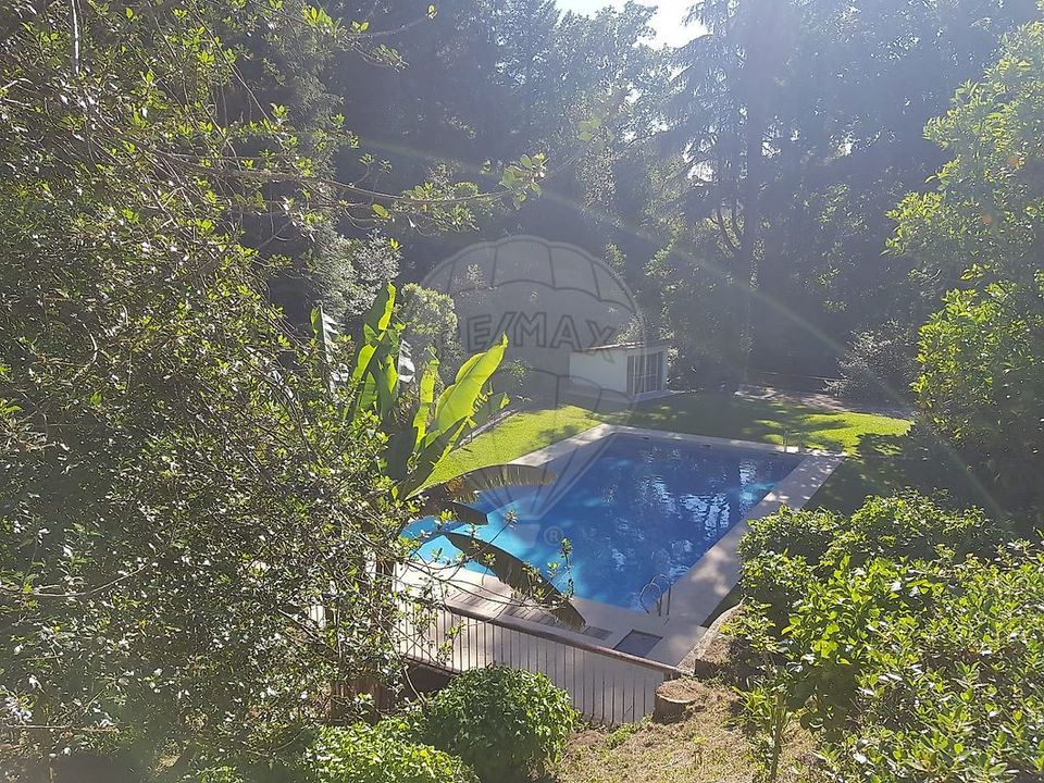 Villa a Vieira do Minho, Braga - foto 1