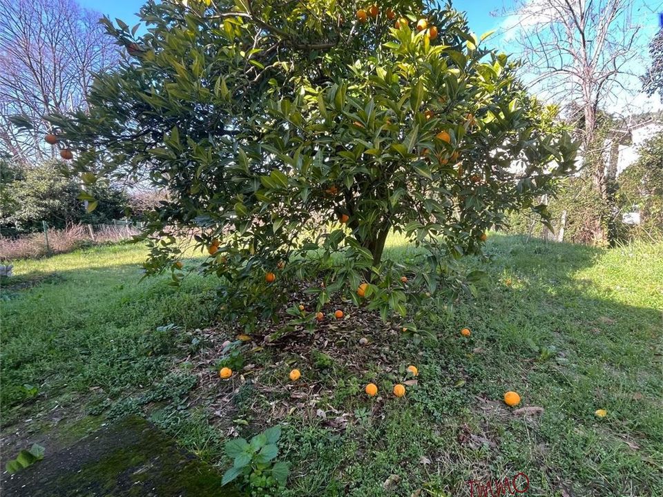 Landejendom i Massarosa, Lucca - foto 4