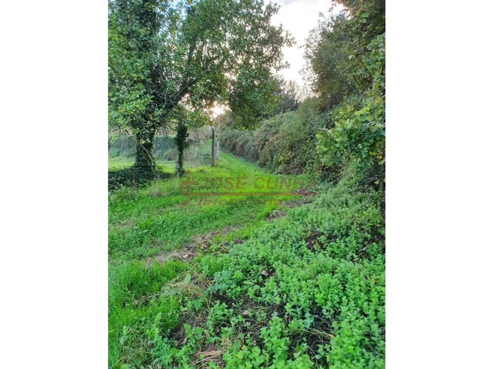 Helårsgrund i Valenca, Viana do Castelo - foto 1