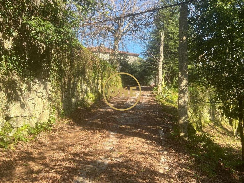 Farm i Vieira do Minho, Braga - foto 2
