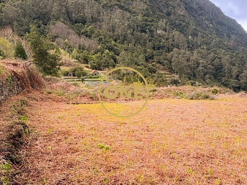 Helårsgrund i Sao Vincente, Madeira - foto 4