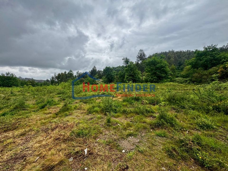 Helårsgrund i Braga, Braga - foto 4