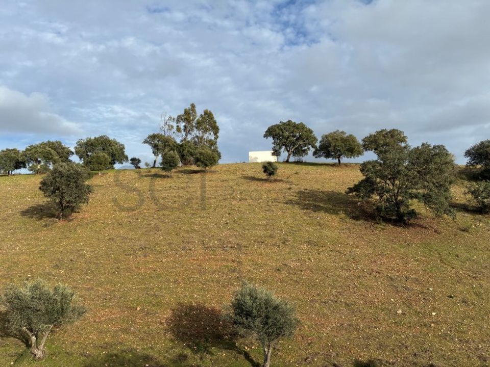Farm i Vila Nova de Sao Bento e Vale de Vargo, Beja - foto 1