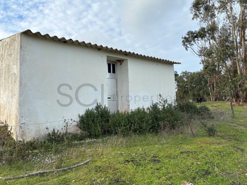 Farm i Vila Nova de Sao Bento e Vale de Vargo, Beja - foto 3