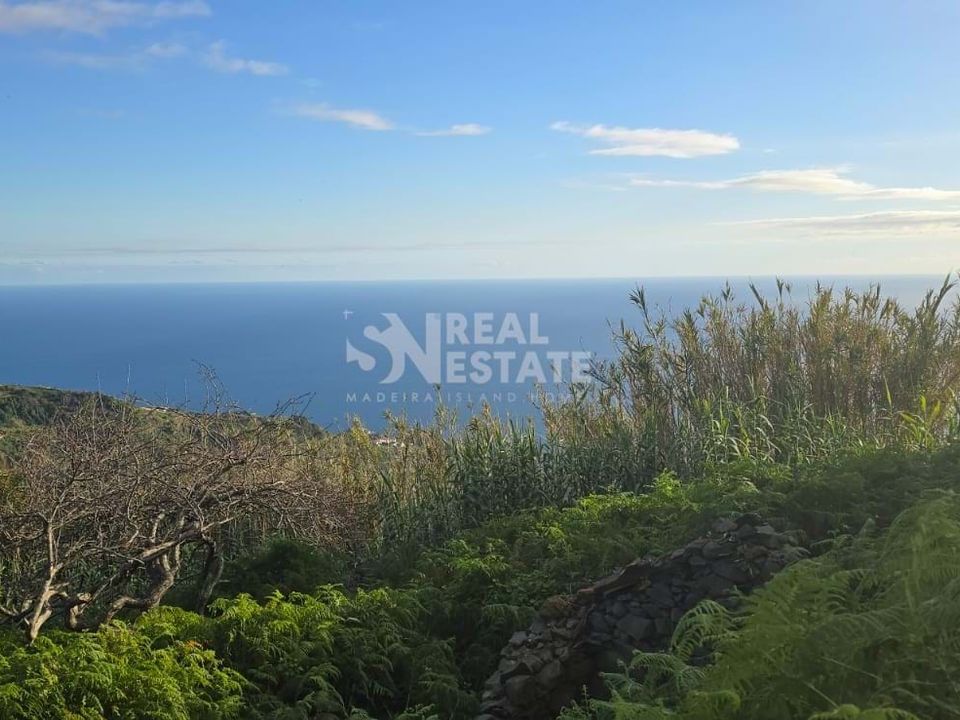 Helårsgrund i Ribeira Brava, Madeira - foto 2