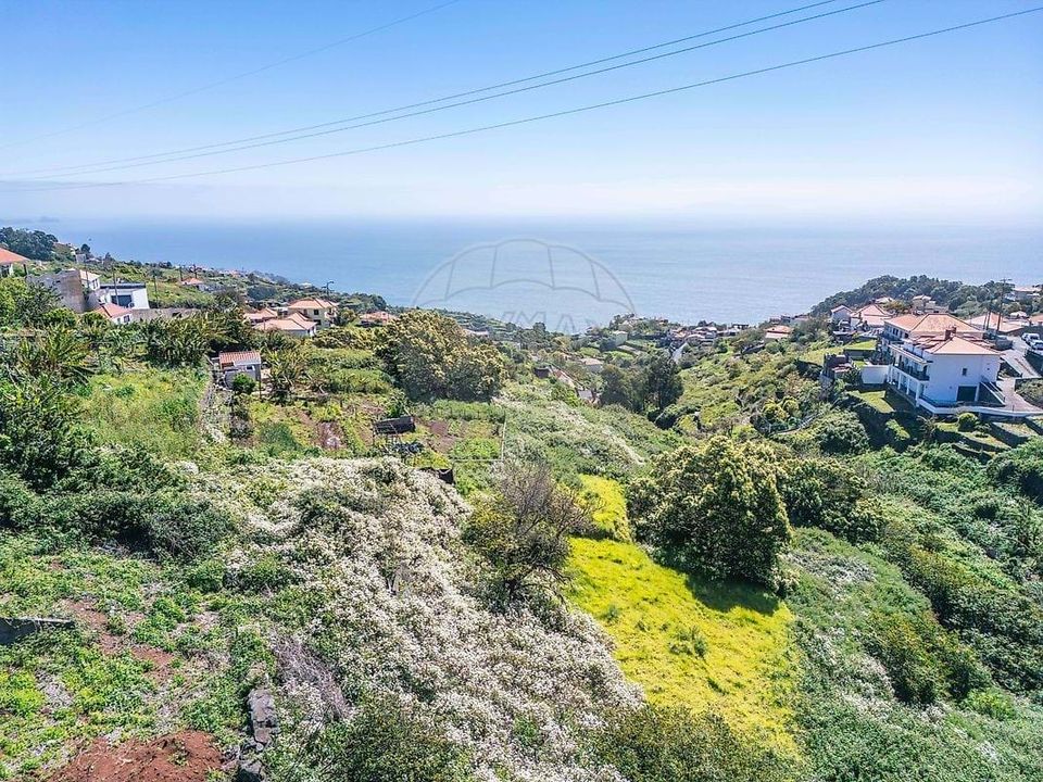 Helårsgrund i Santa Cruz, Madeira - foto 4