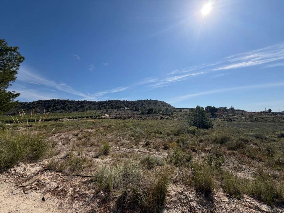 Helårsgrund i Torremendo, Alicante - foto 4