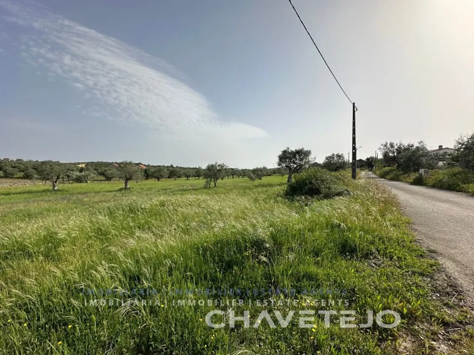 Landejendom i Ferreira do Zezere, Santarem - foto 5