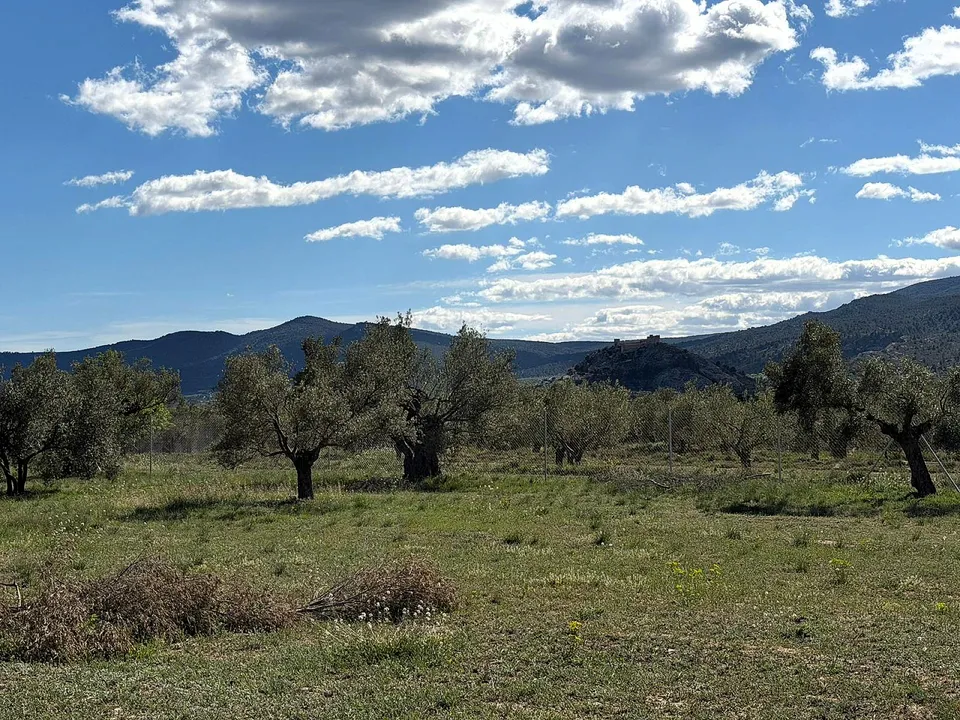 Terra a Onil, Alicante - foto 2