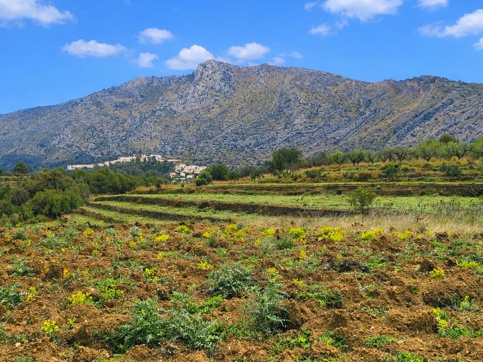 Helårsgrund i Benigembla, Alicante - foto 4