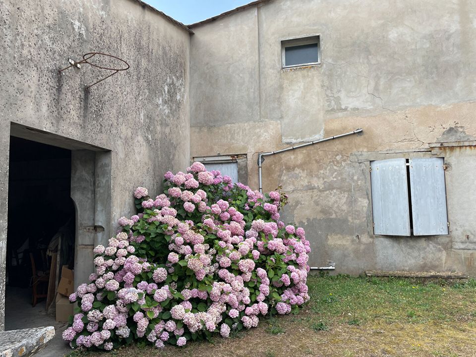 Villa i Moulon, Gironde - foto 4