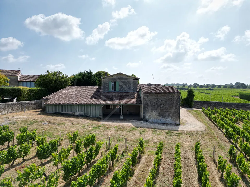 Villa i Saint-Emilion, Gironde - bilde 3