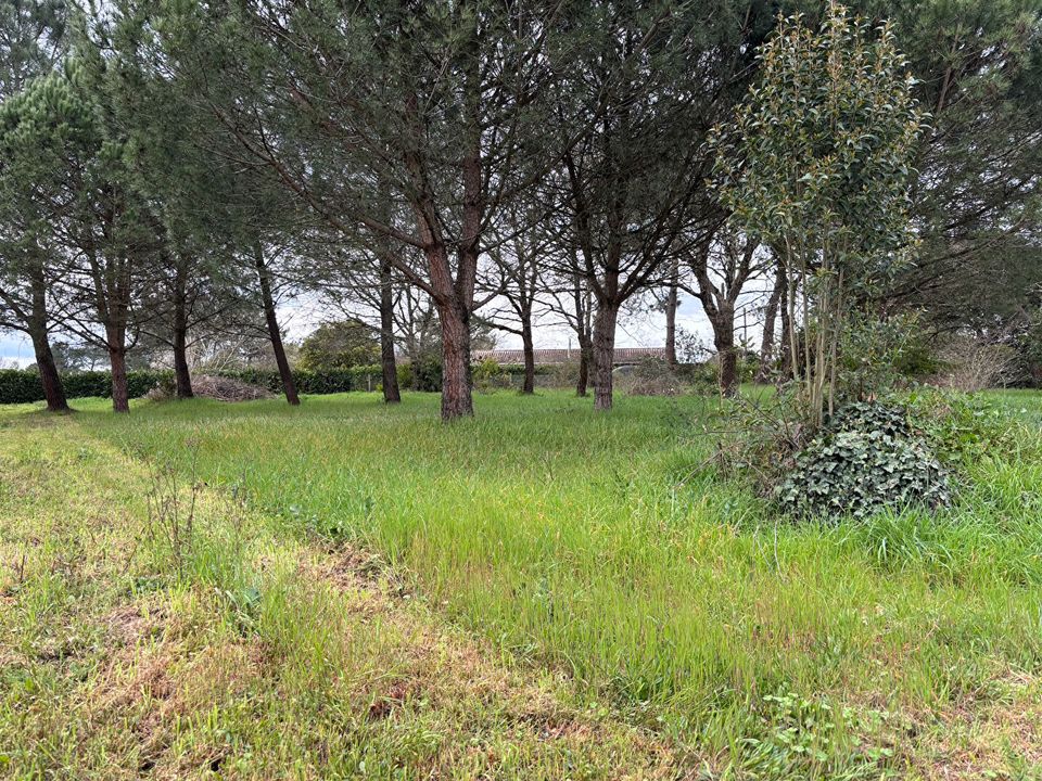 Helårsgrund i Ambares-et-Lagrave, Gironde - foto 1