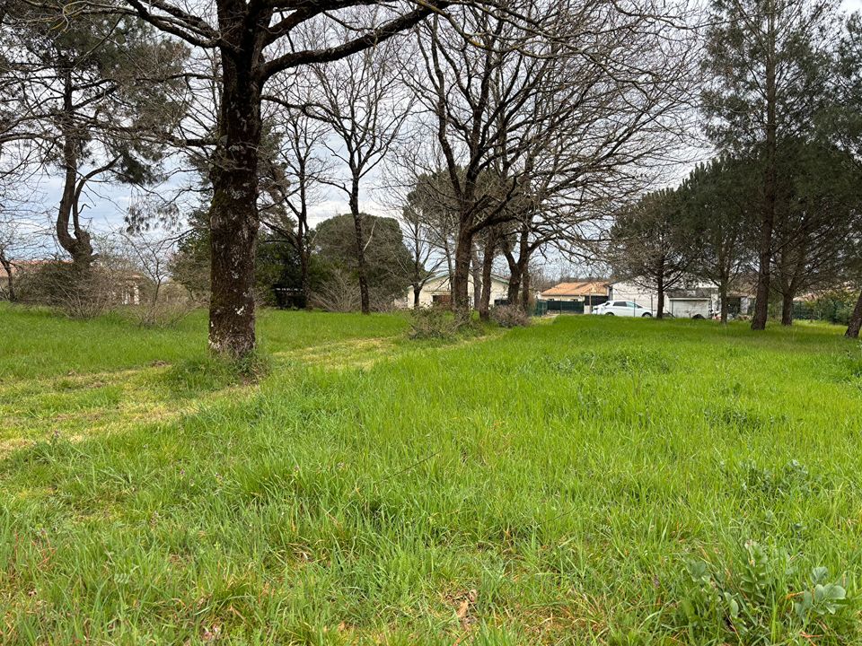 Helårsgrund i Ambares-et-Lagrave, Gironde - foto 2