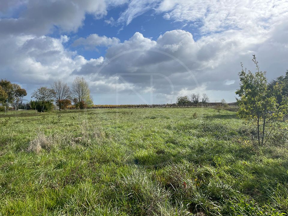 Helårsgrund i Velines, Dordogne - foto 1