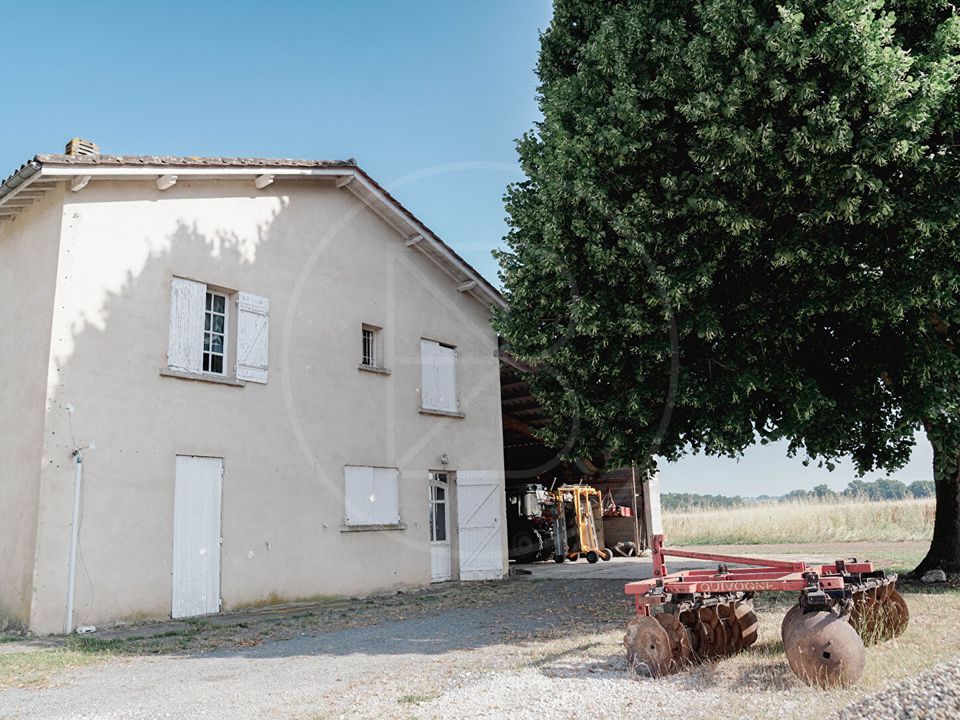 L'establiment comercial a Saint-Emilion, Gironde - foto 3