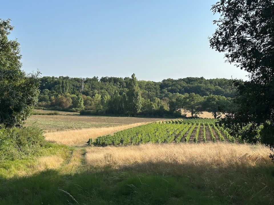Villa i Puisseguin, Gironde - foto 2