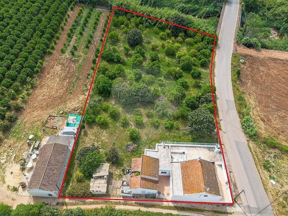 Farm i Silves, Faro - foto 4