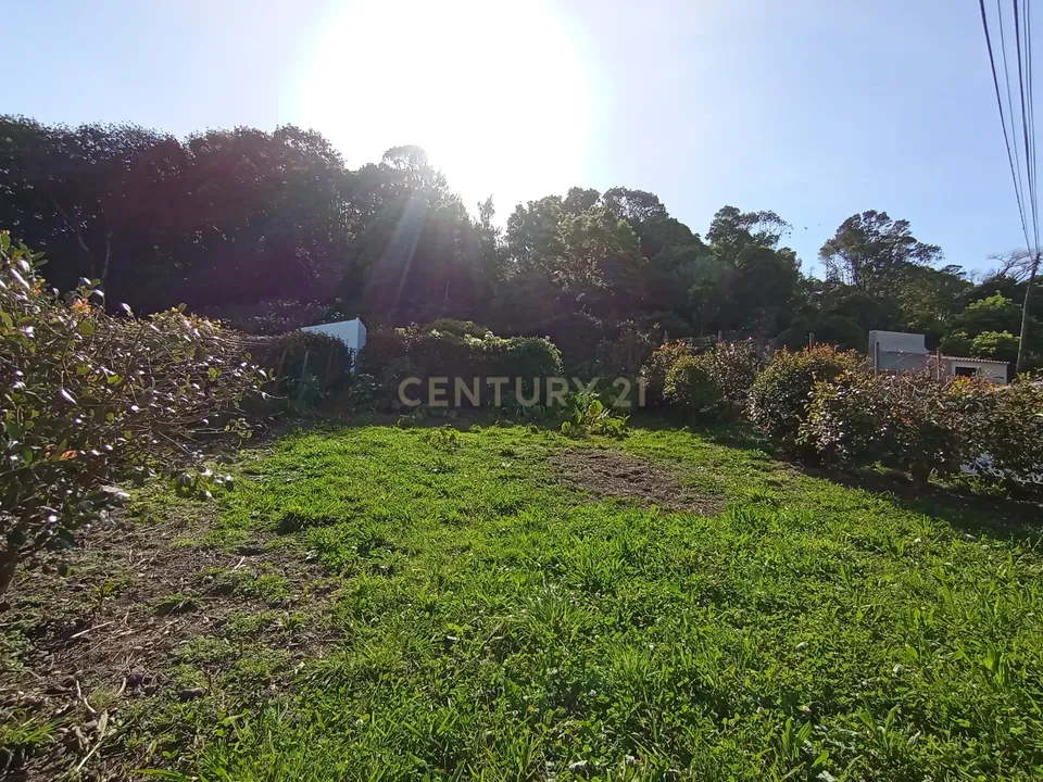 Terreno en Santa Cruz da Graciosa, Graciosa - foto 4