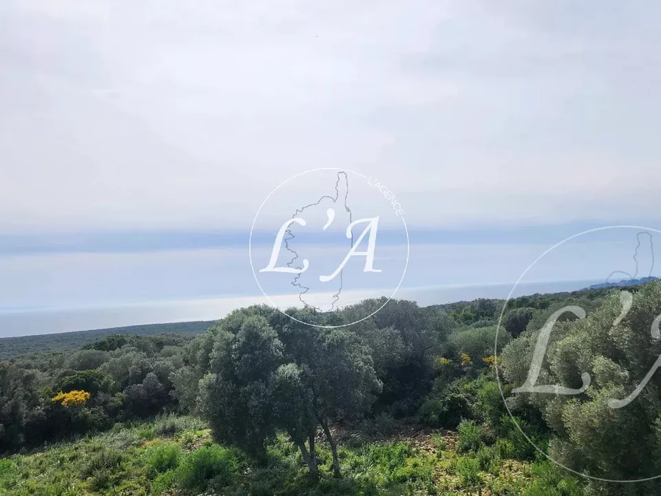 Villa i Bonifacio, Corse-du-Sud - bilde 5