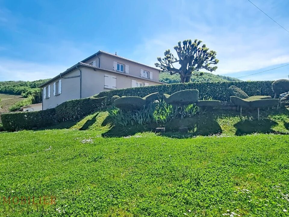 Villa i Saint-Lager, Rhone - foto 4