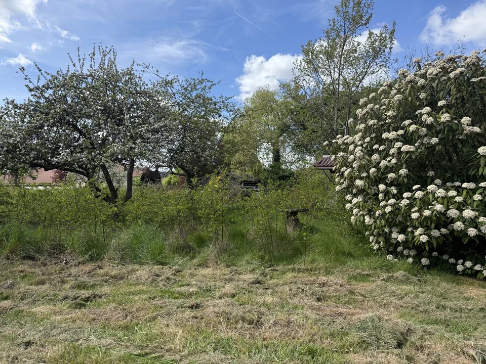 Helårsgrund i Boutigny-sur-Essonne, Essonne - foto 1