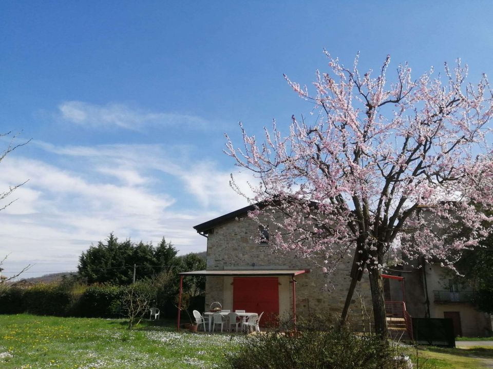 Gårdshus i Vernasca, Piacenza - bilde 2