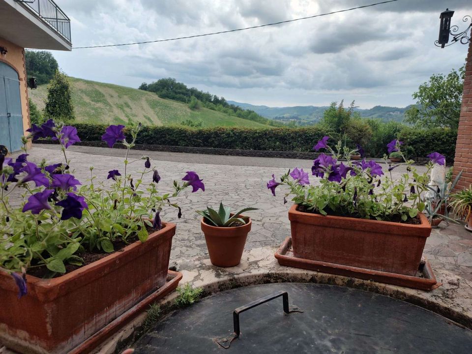 Villa i Lugagnano Val d'Arda, Piacenza - bilde 3