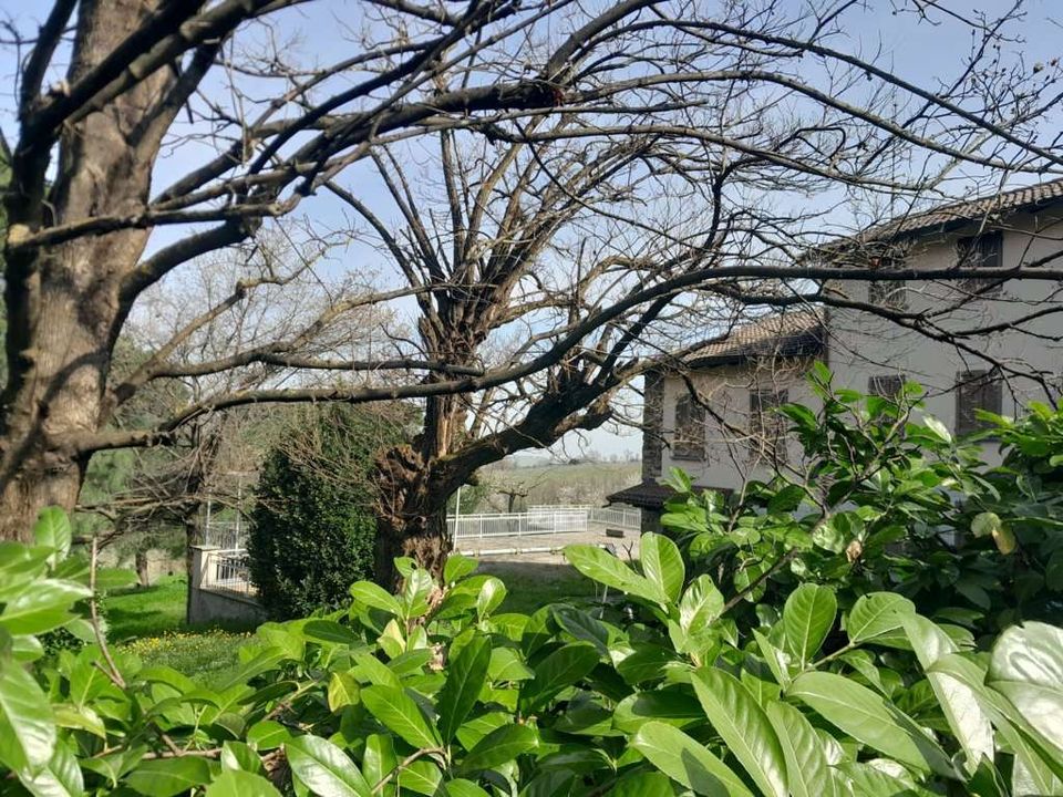 Villa i Volpara, Pavia - foto 4