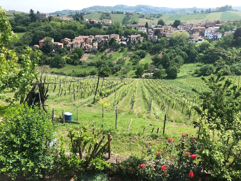 Villa i Corvino San Quirico, Pavia - foto 4