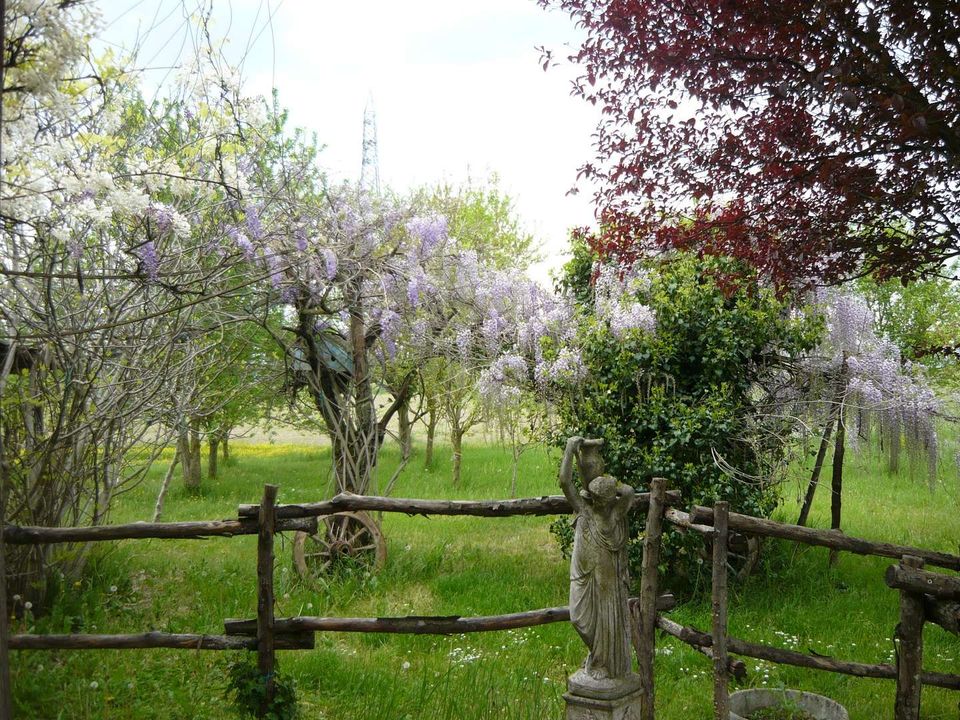 Villa i Soragna, Parma - foto 4