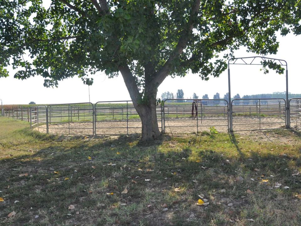 Villa i Pieve Porto Morone, Pavia - foto 4