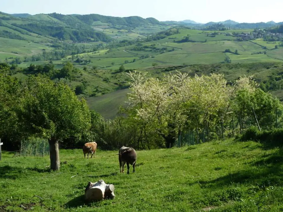 Masia a Godiasco, Pavia - foto 1