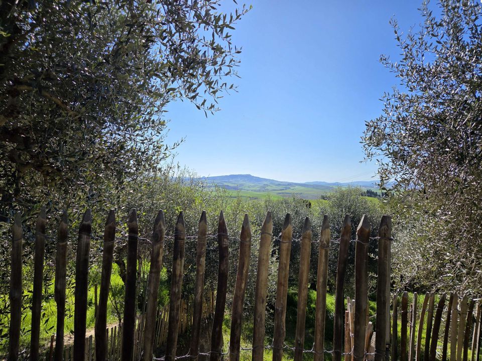 Villa in Lajatico, Pisa - foto 4