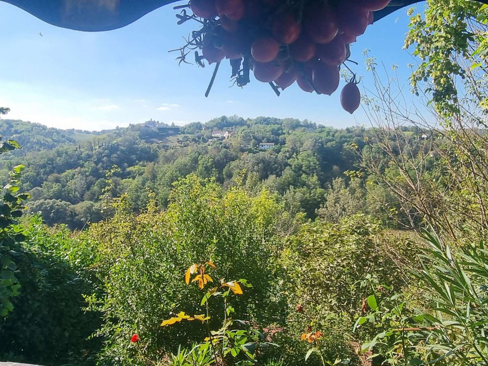 Landejendom i Montegrosso d'Asti, Asti - foto 3