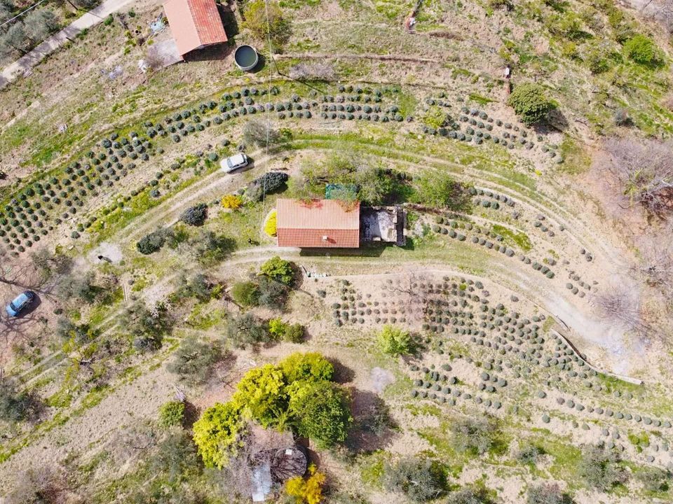 Villa i Castel Vittorio, Imperia - foto 5