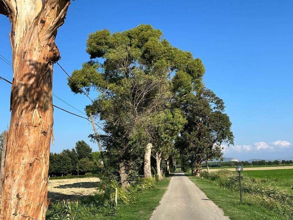 Farm hus i Grosseto, Grosseto - foto 2