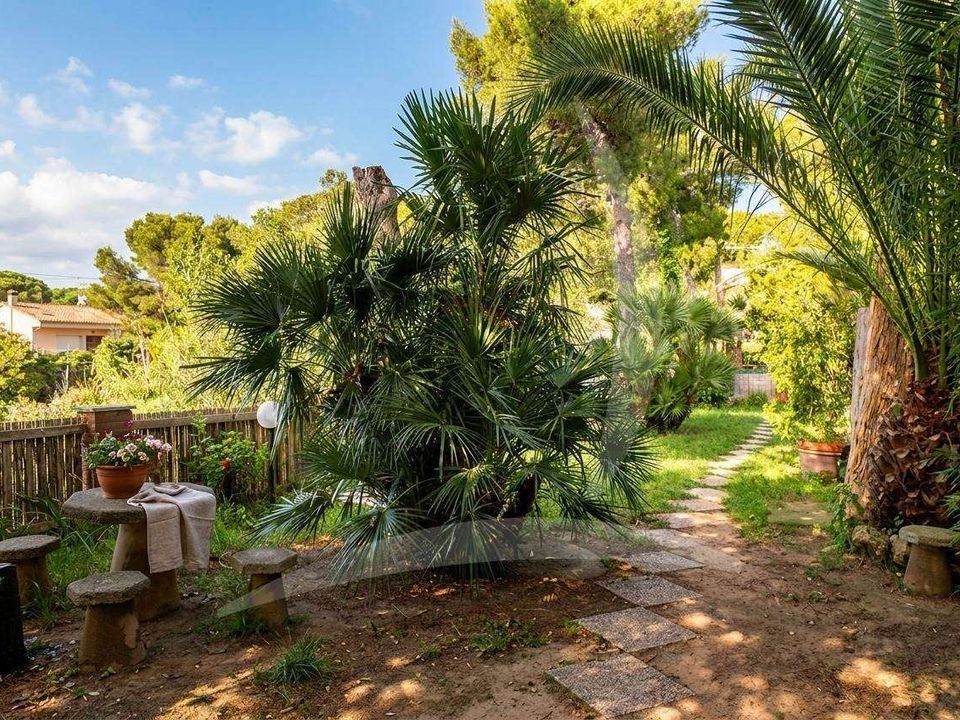 Villa i Monte Argentario, Grosseto - foto 5