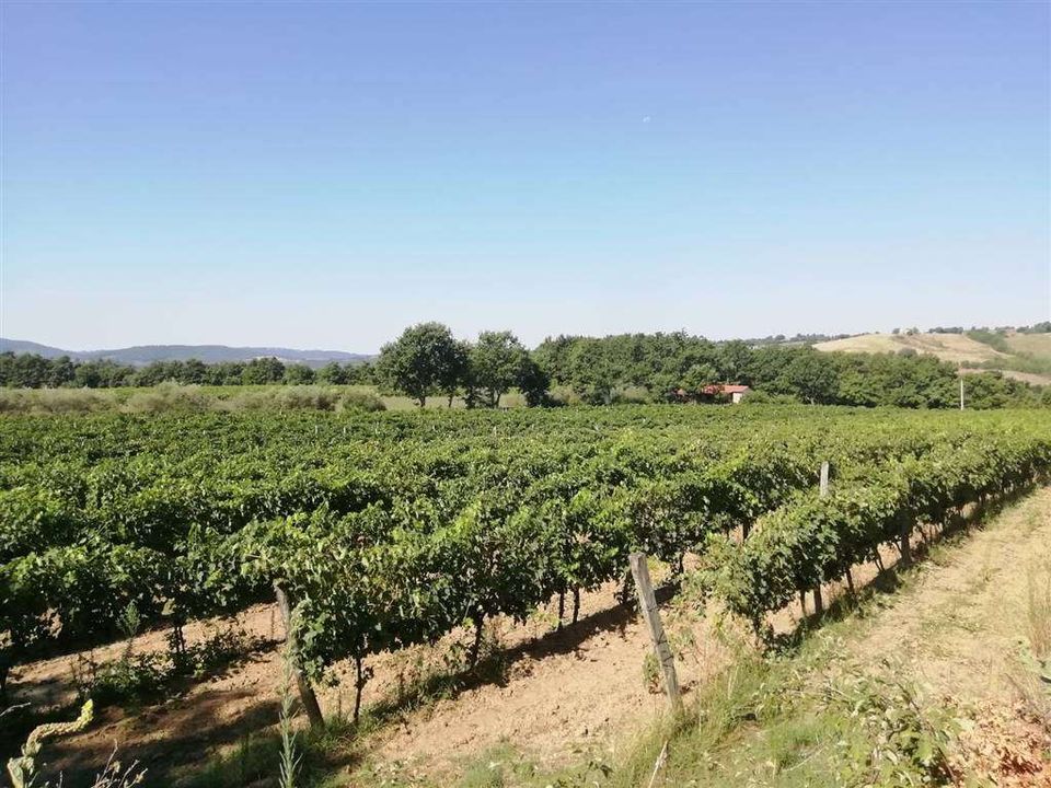 Farm hus i Sorano, Grosseto - foto 1