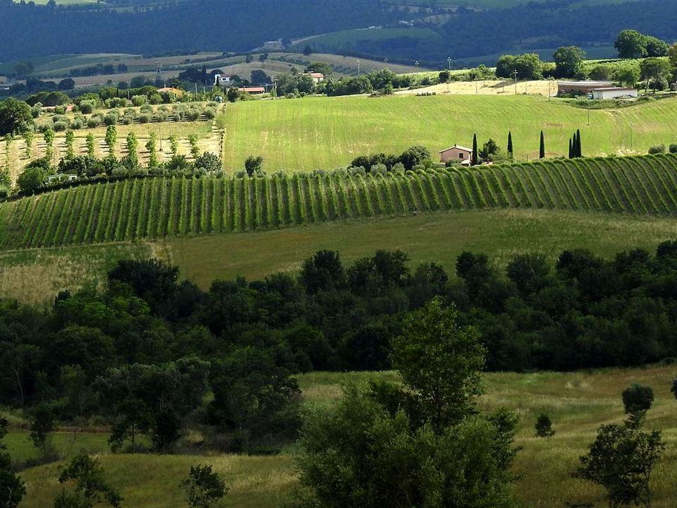 Farm hus i Scansano, Grosseto - foto 1