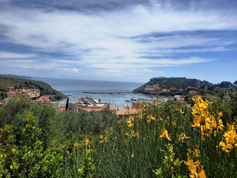 Tomt i Monte Argentario, Grosseto - bilde 4