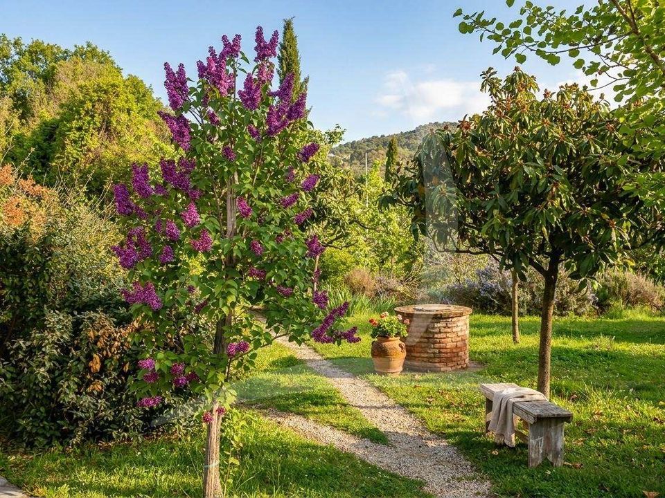 Farm hus i Cortona, Arezzo - foto 4