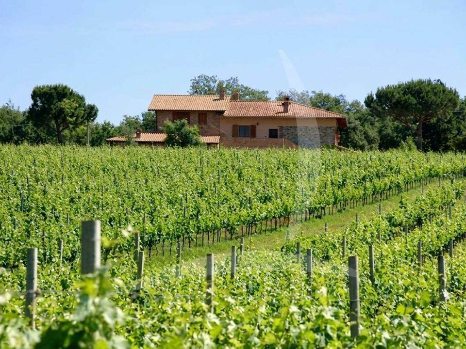 Farm hus i Castiglione del Lago, Perugia - foto 5